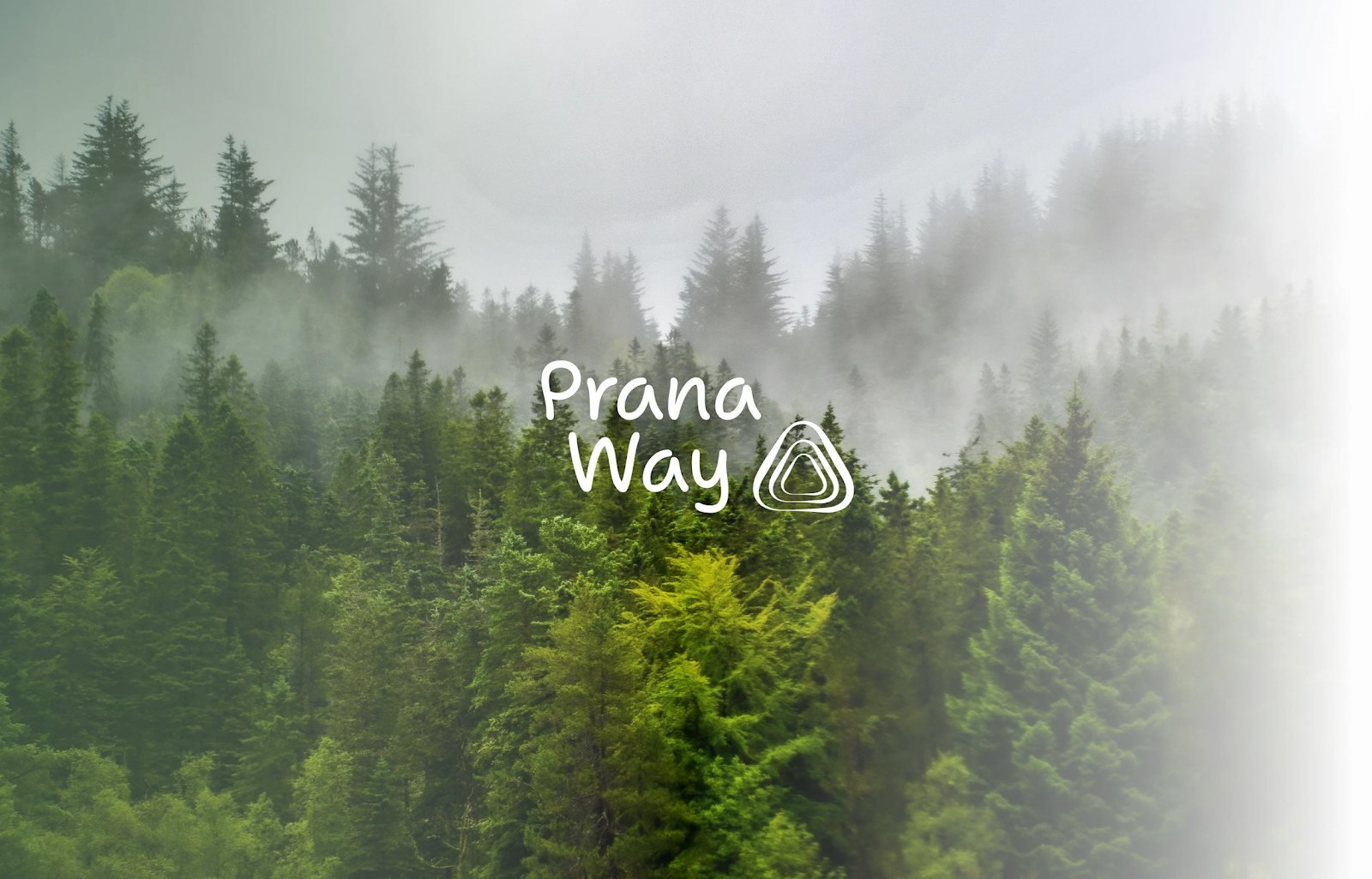 Prana Way · Una marca de bienestar que se siente antes de leerse
